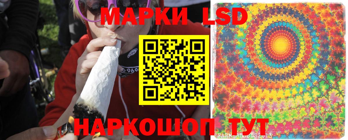 Нефтекумск  Лсд 25 экстази ecstasy  Вход с VPN  Лсд 25 экстази ecstasy 