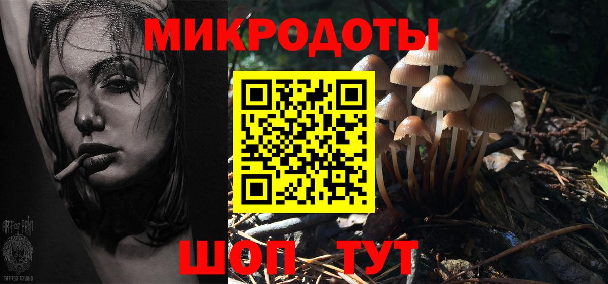 Галлюциногенные грибы GOLDEN TEACHER Нефтекумск